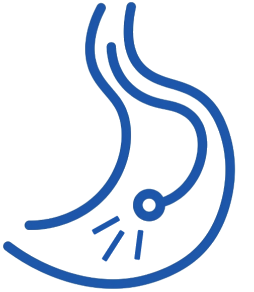 Servicios Médicos Especializados